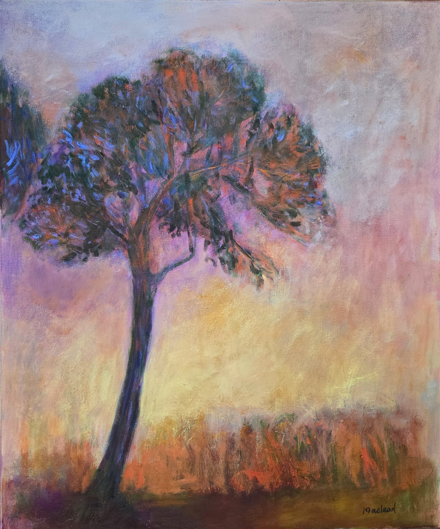 Painting of a stone pine tree with a colourful background of West Australian.