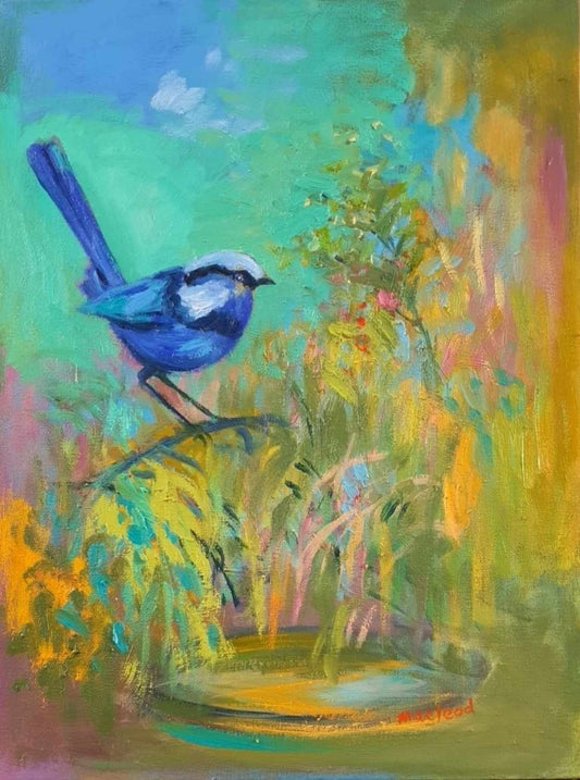 Fairy Wren with Water Bowl