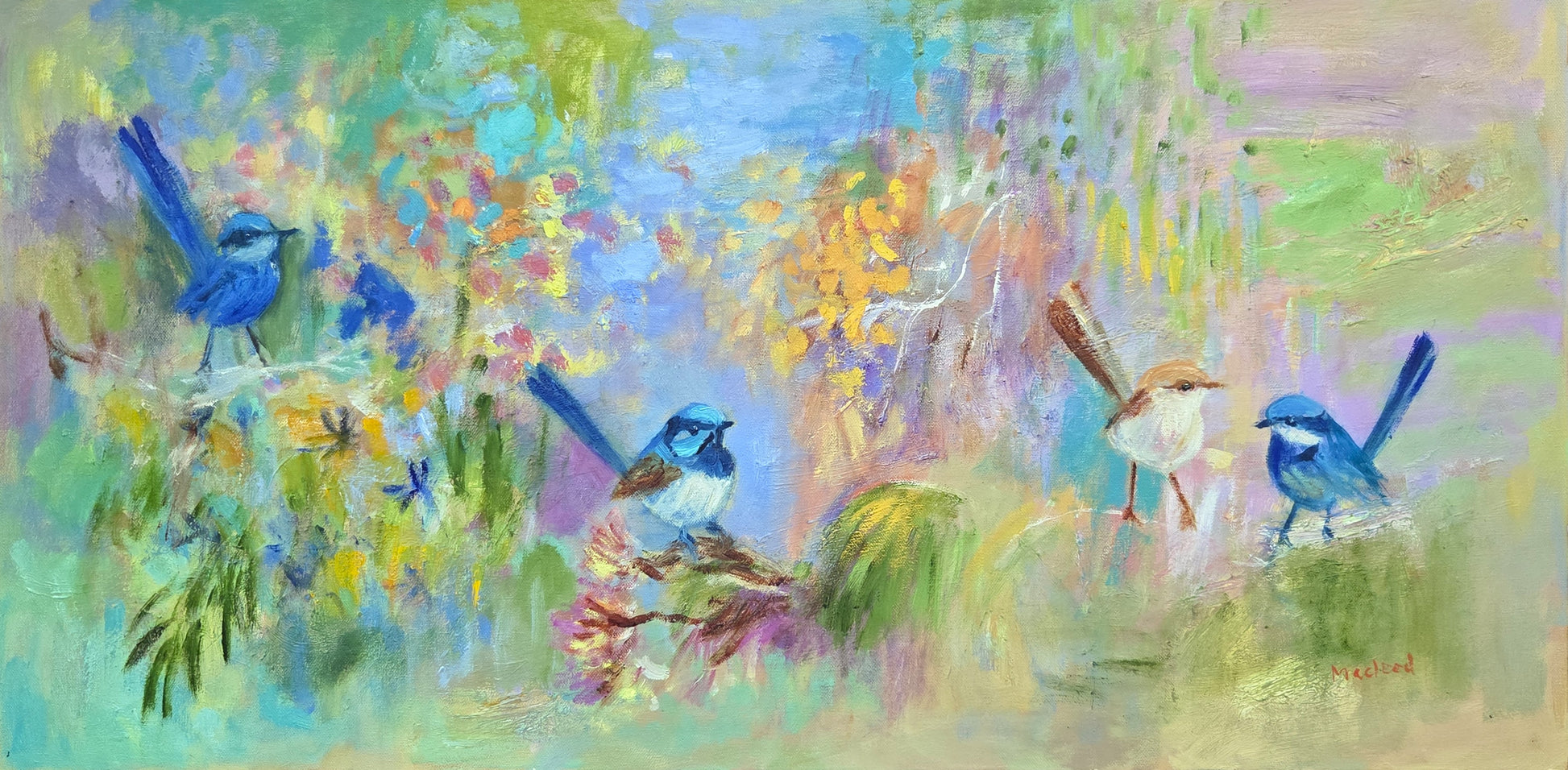 Oil painting of 4 blue wrens in West Australian bush