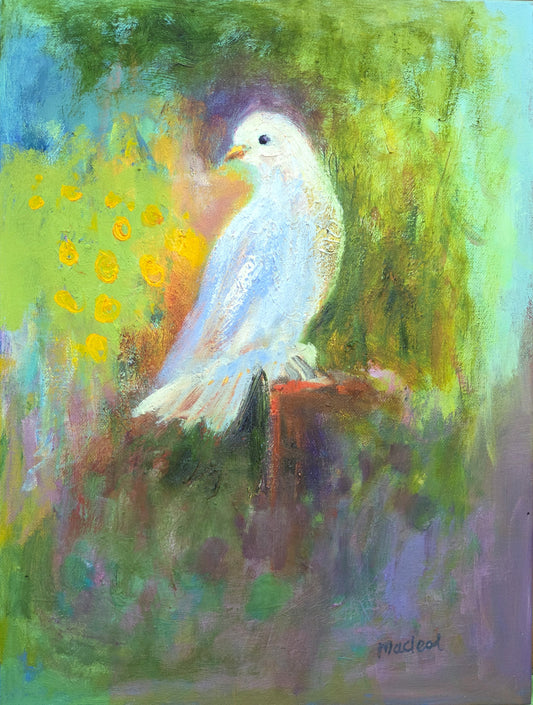 Painting of a white dove perched on a branch with a colourful background.