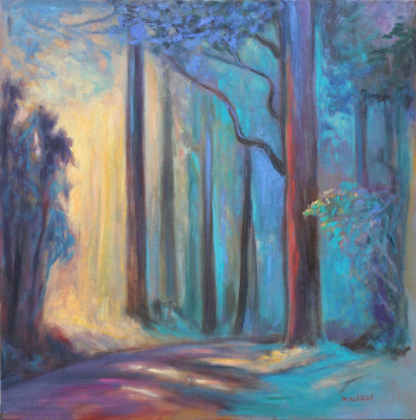 Forest Light